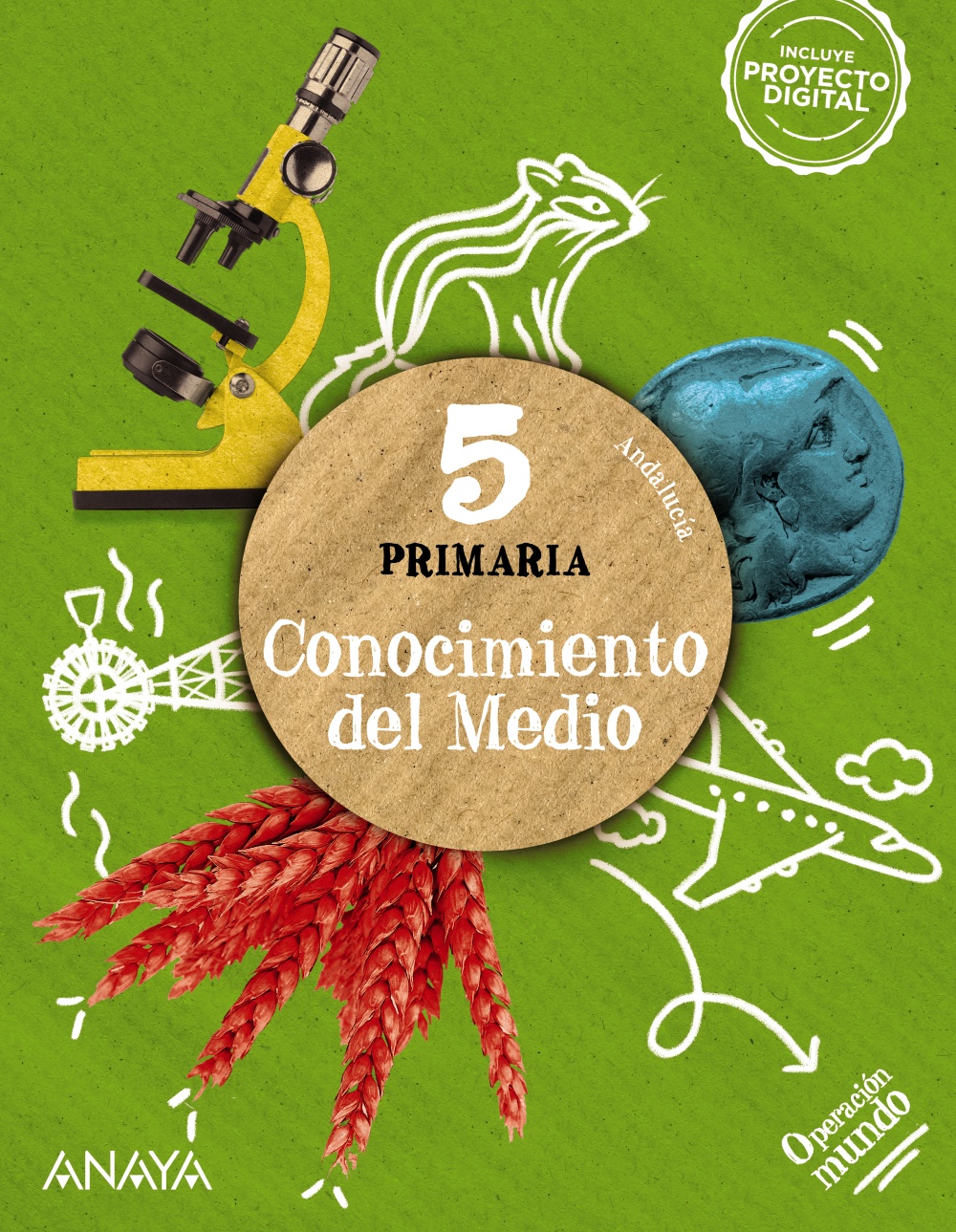 CONOCIMIENTO DEL MEDIO